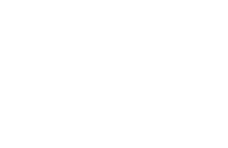Ethereum Cypherpunk Congress Logo